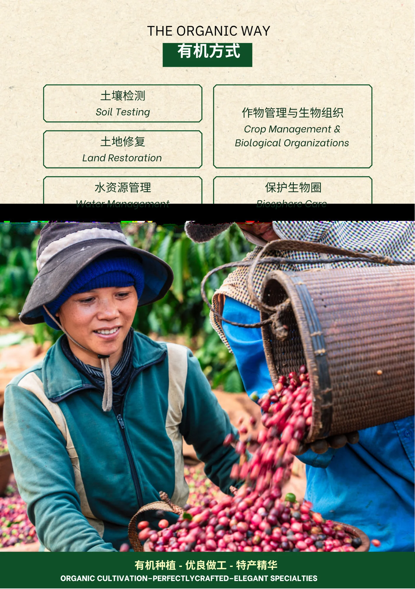 Viet Specialty Coffee